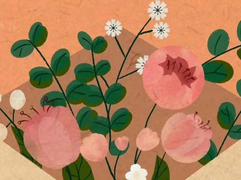 Thư gửi gia đình Jufeng