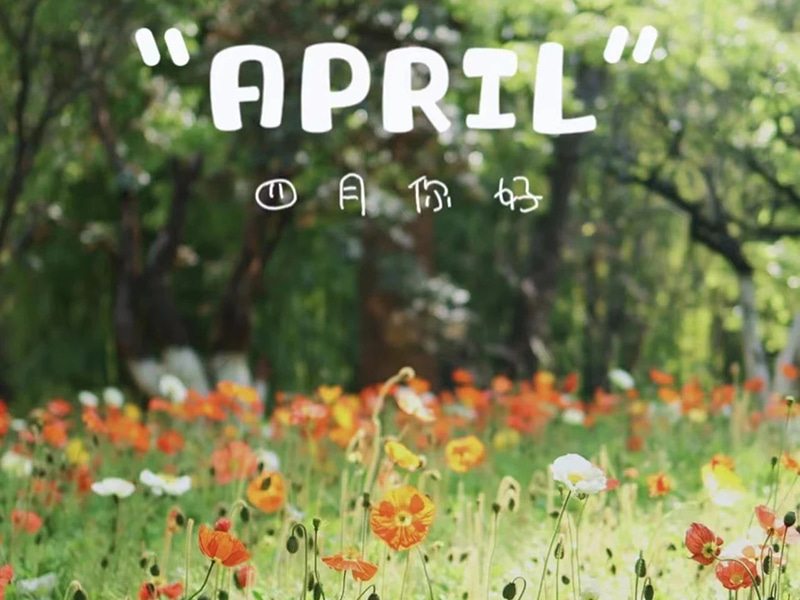 Lời chúc sinh nhật 丨Chúc mừng sinh nhật những người sinh vào tháng 4